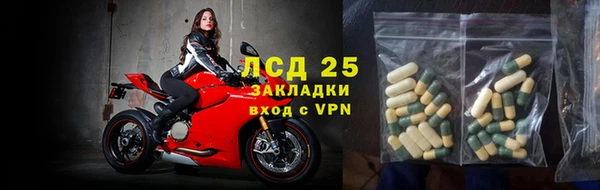 ГАЛЛЮЦИНОГЕННЫЕ ГРИБЫ Медногорск