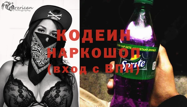 стаф Бердск