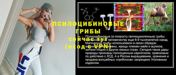 ГАЛЛЮЦИНОГЕННЫЕ ГРИБЫ Медногорск