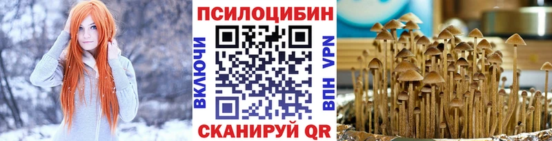 Галлюциногенные грибы GOLDEN TEACHER  наркота  Раменское 