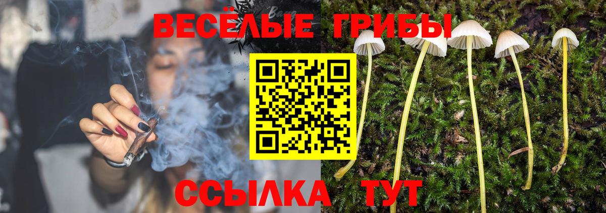 Галлюциногенные грибы Psilocybine cubensis Раменское