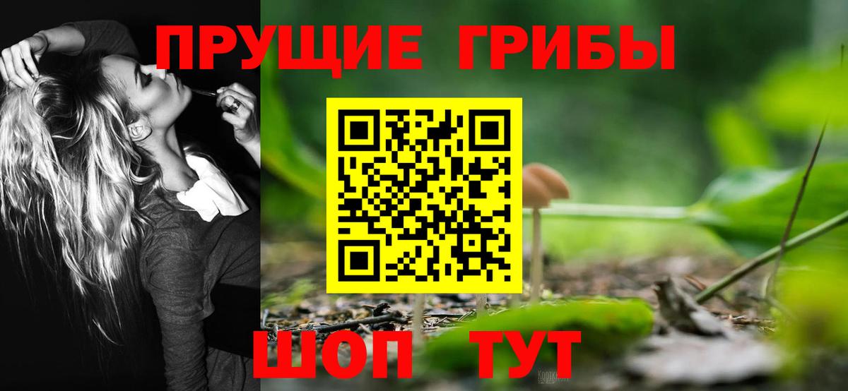 Псилоцибиновые грибы ЛСД  купить наркотики сайты  Раменское  Вход с VPN 