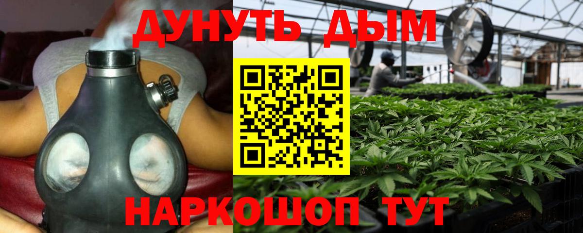Канабис конопля Раменское